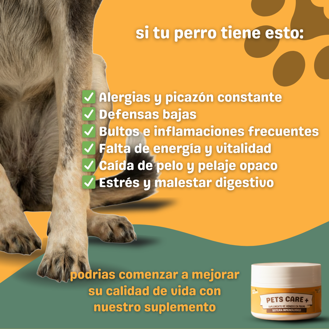 Pets Care+ - 🌟 La tranquilidad de verlo sano, feliz y protegido.