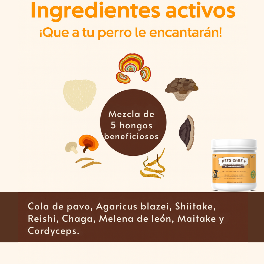 Pets Care+ - 🌟 La tranquilidad de verlo sano, feliz y protegido.