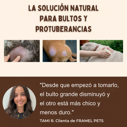 Pets Care+ - 🌟 La tranquilidad de verlo sano, feliz y protegido.