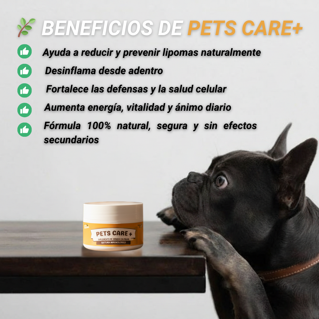 Pets Care+ - 🌟 La tranquilidad de verlo sano, feliz y protegido.