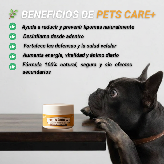 Pets Care+ - 🌟 La tranquilidad de verlo sano, feliz y protegido.