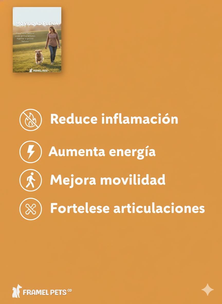 EBOOK MOVILIDAD PLENA - RECETARO NATURAL PARA ARTICULACIONES FUERTES Y PERROS FELICES