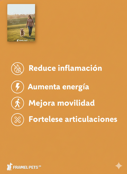 EBOOK MOVILIDAD PLENA - RECETARO NATURAL PARA ARTICULACIONES FUERTES Y PERROS FELICES