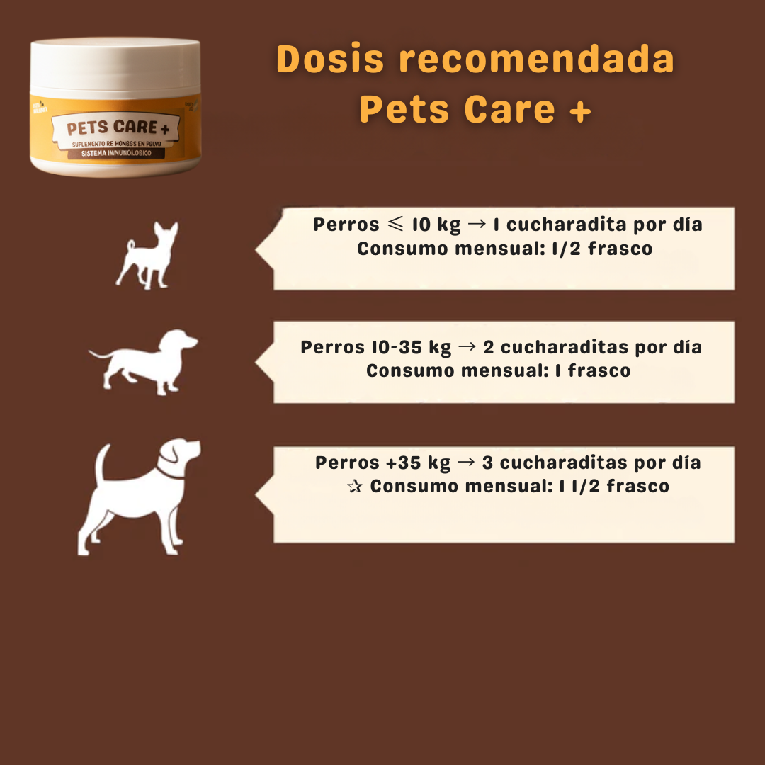 Pets Care+ - 🌟 La tranquilidad de verlo sano, feliz y protegido.
