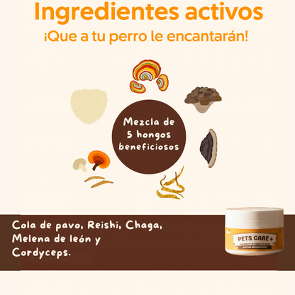 Pets Care+ - 🌟 La tranquilidad de verlo sano, feliz y protegido.
