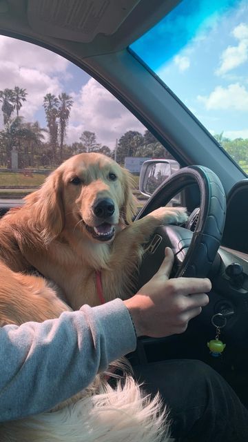 <em><strong>MARTIN - SAN JUAN</strong></em>